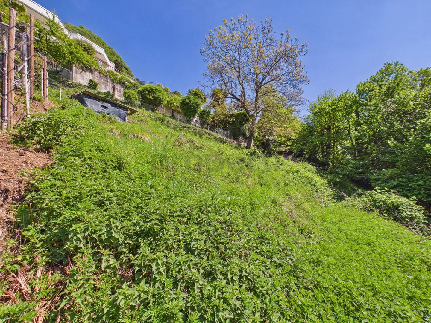 Large building plot in a quiet area, Viganello - Photo 8 of 11