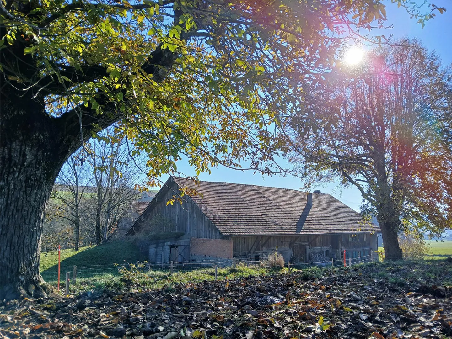 3.5-room apartment of 95 m² for rent at 1673 Rue for 1400 CHF - Photo 8 of 8