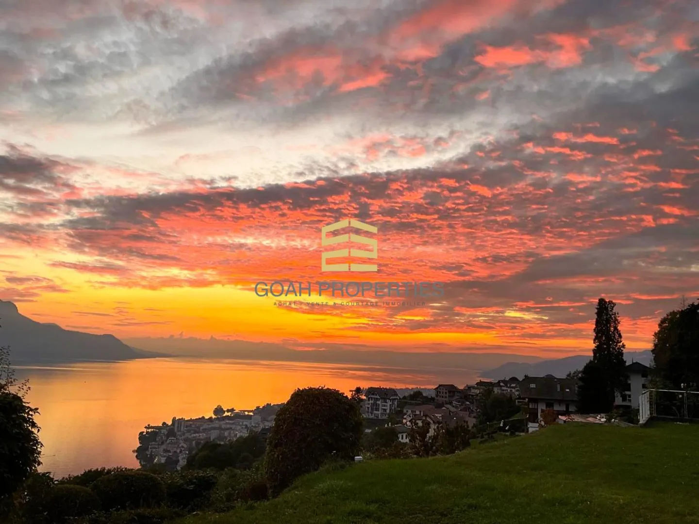 3.5 Room Apartment - Photo 4 of 7