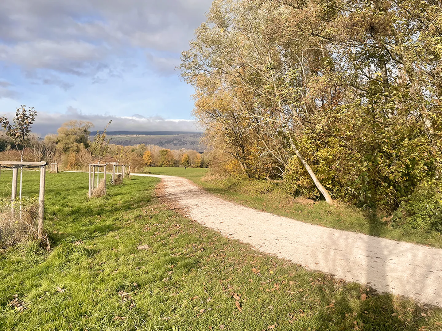 Appartamento 3,5 locali - Foto 2 di 3