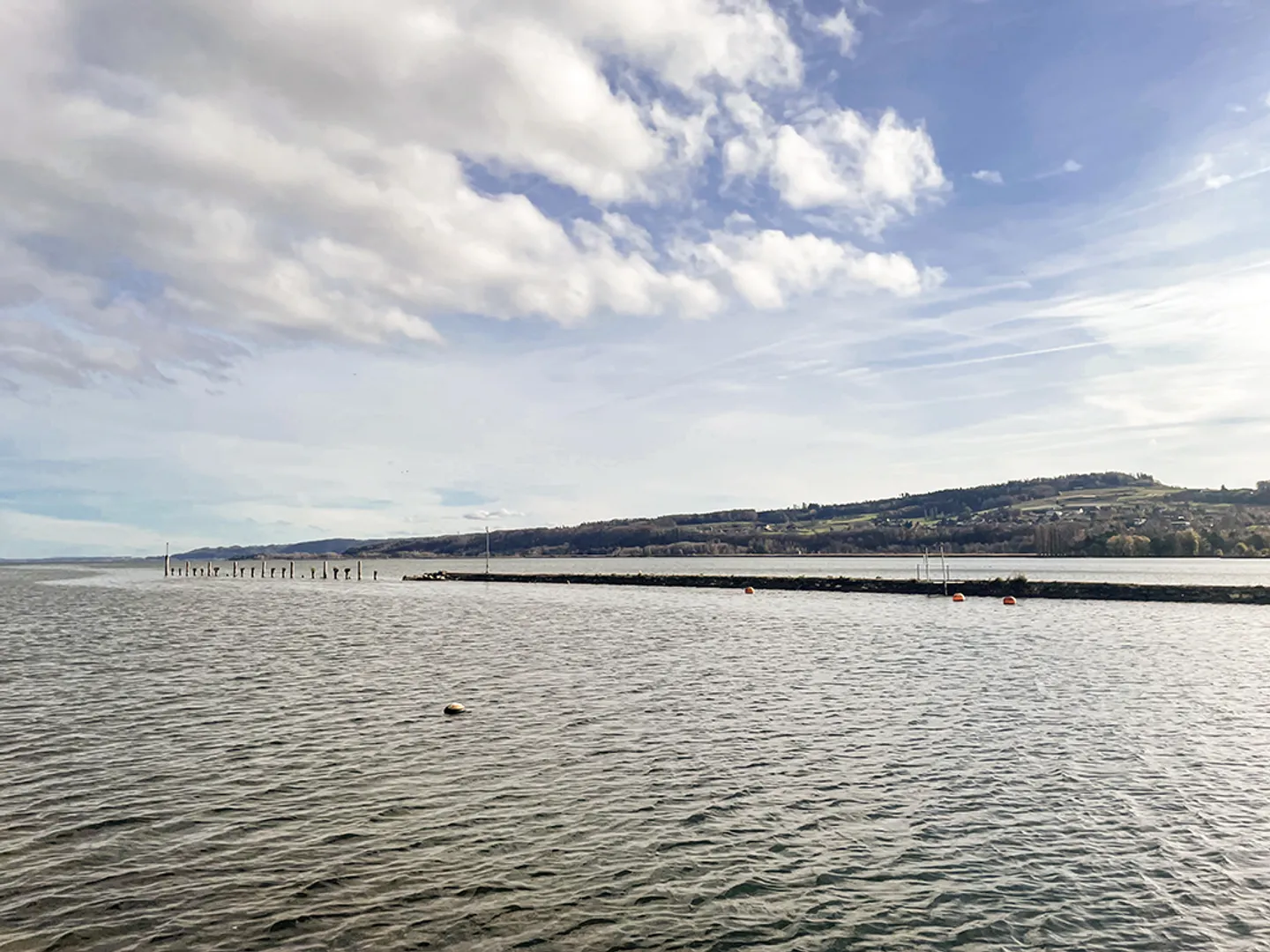 Appartamento 3,5 locali - Foto 3 di 3