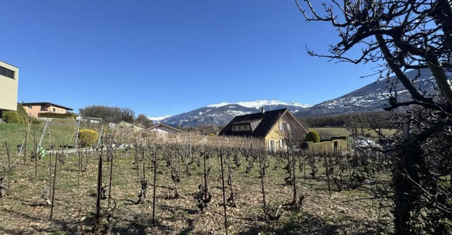 Villa Diolly - Photo 8 of 11