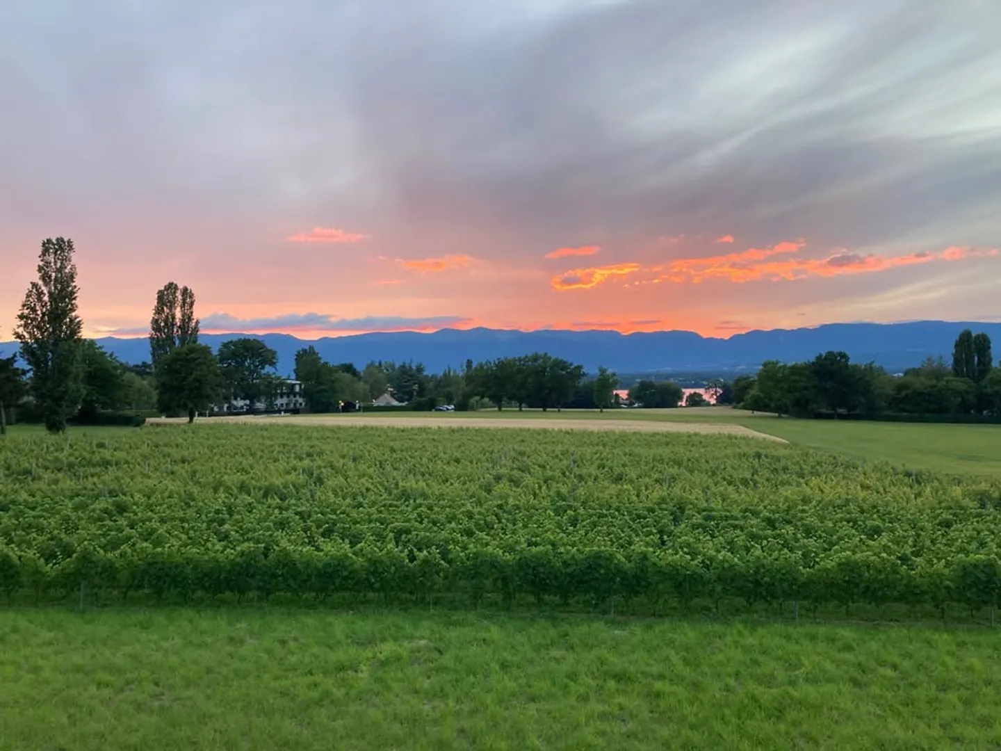 Appartement 5 pièces - Photo 9 sur 10