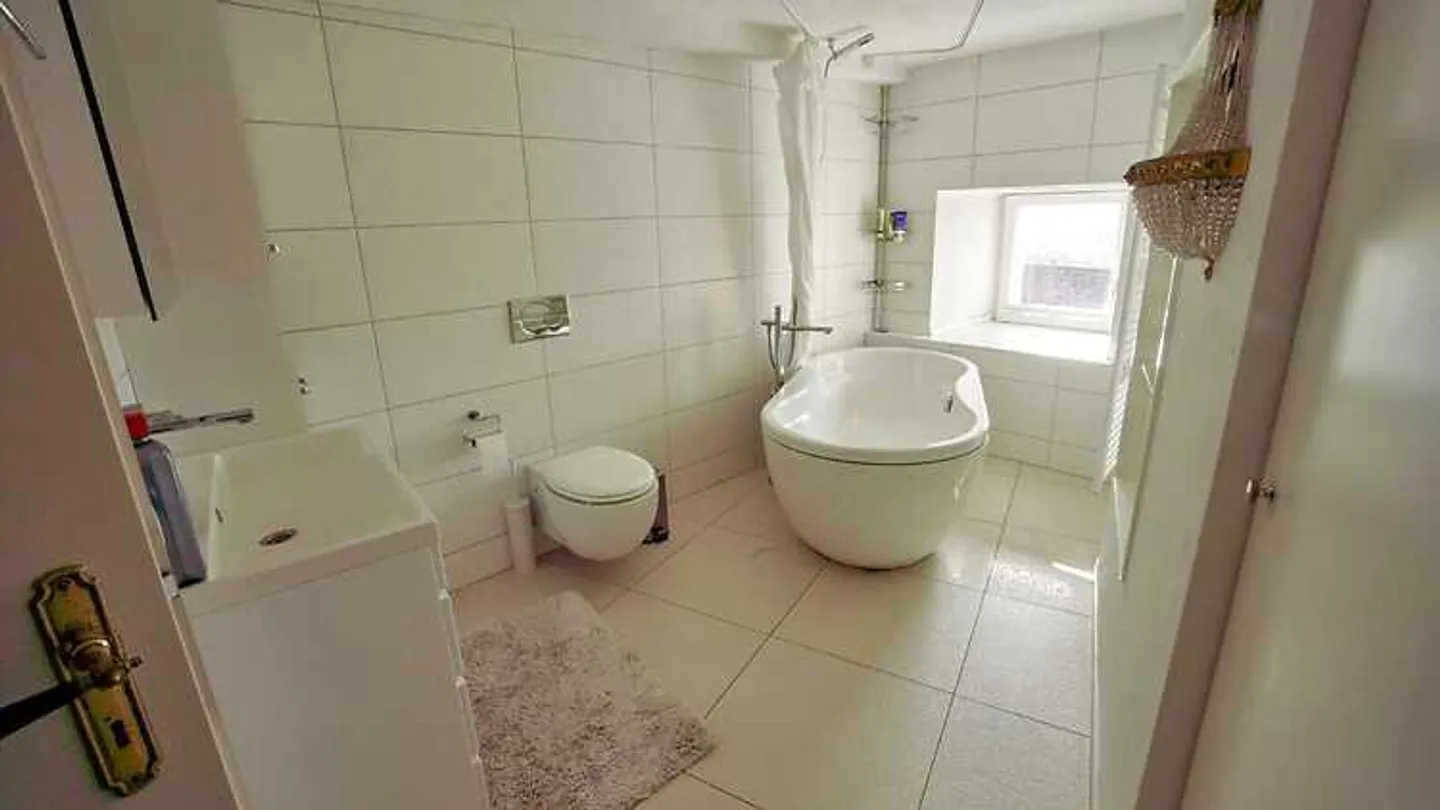 4½ ROOM APARTMENT IN MÜNCHENSTEIN (BL), FURNISHED, TEMPORARY - Photo 8 of 10