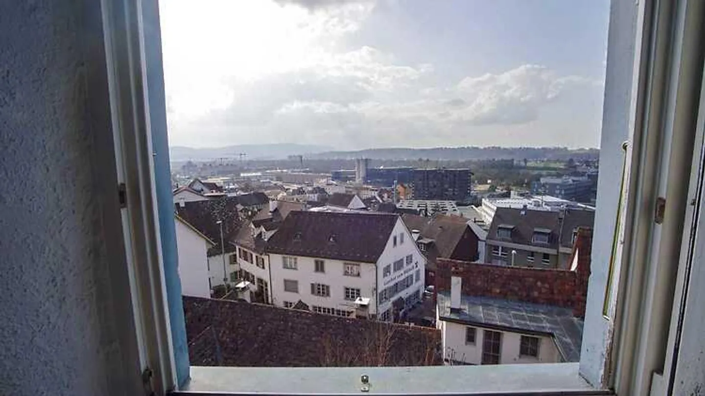 4½ ROOM APARTMENT IN MÜNCHENSTEIN (BL), FURNISHED, TEMPORARY - Photo 10 of 10