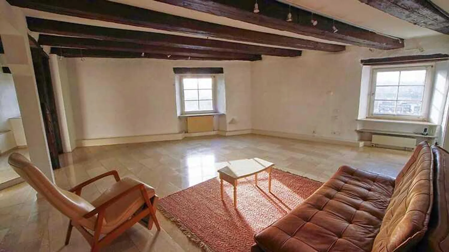 4½ ROOM APARTMENT IN MÜNCHENSTEIN (BL), FURNISHED, TEMPORARY - Photo 2 of 10