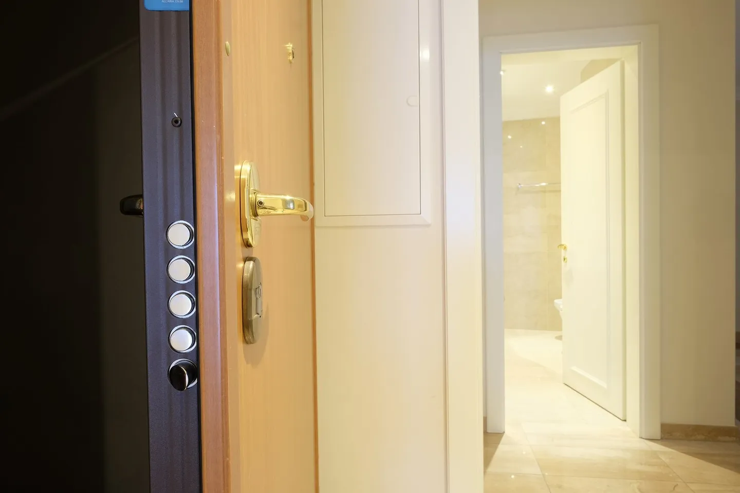 High Standard Rental Apartment, Lugano Lake Promenade, 2nd Floor - Photo 3 of 19