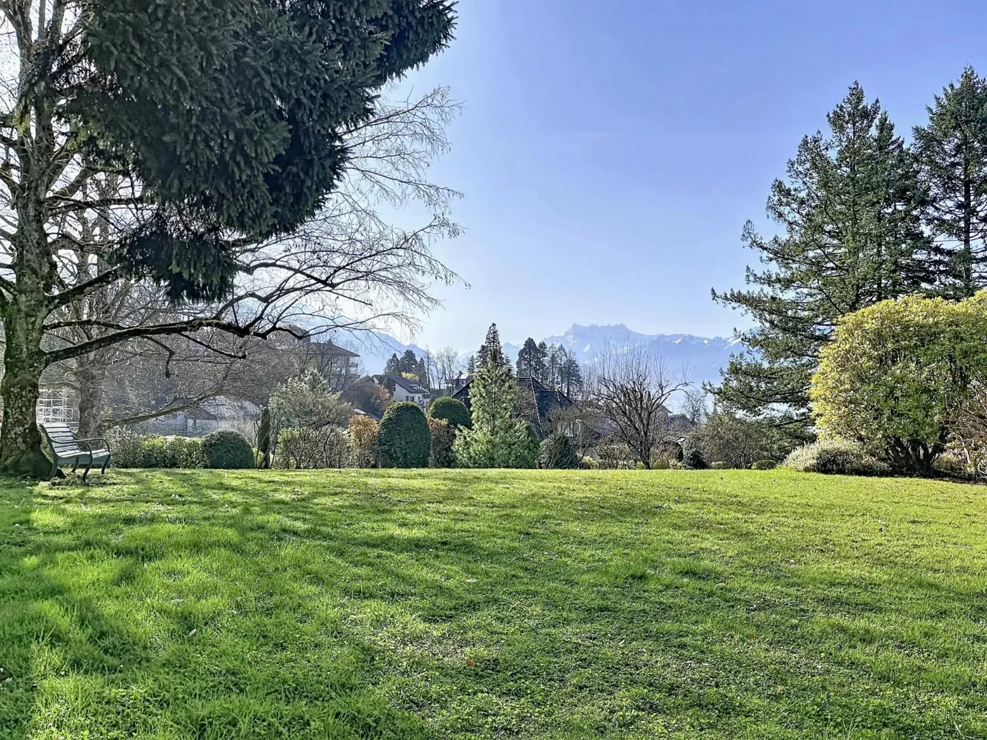 Prime Land for Development - Photo 3 of 4