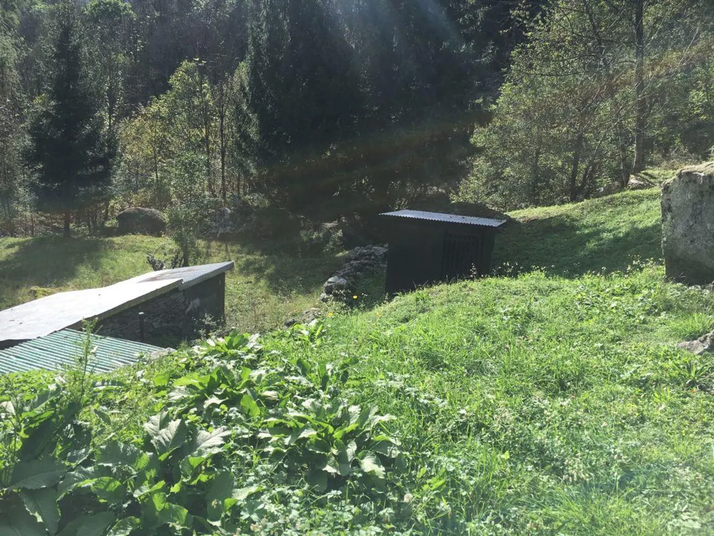 Rustico con terreno - Foto 15 di 18