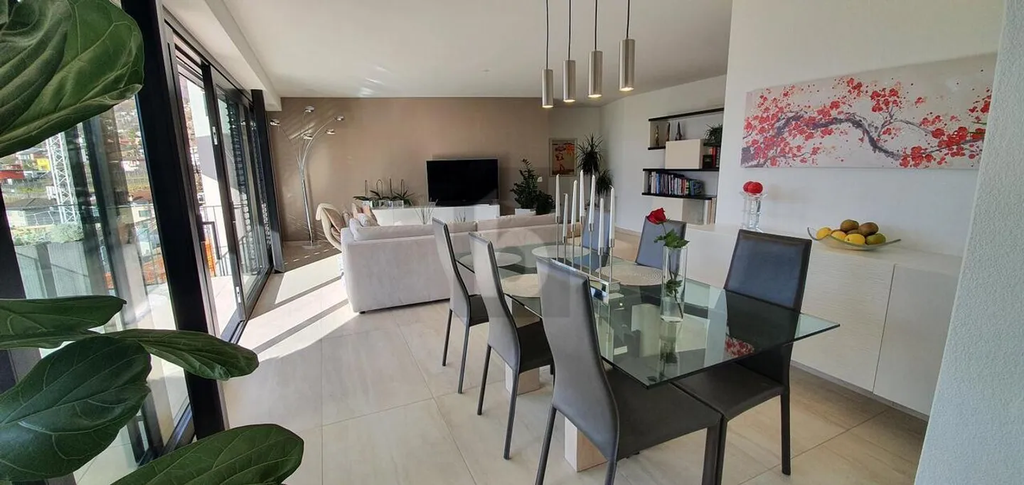 New Apartment with Terrace - Photo 4 of 6