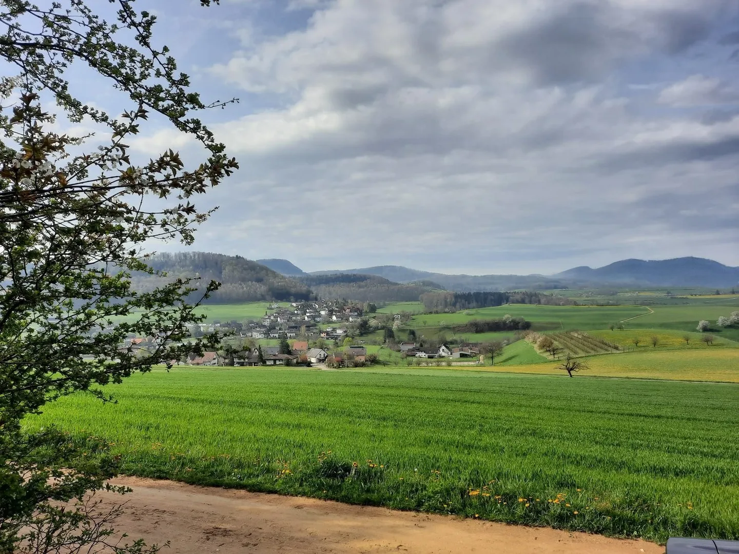 Discover a gastronomic or commercial opportunity in the Gürbetal near Thun - Photo 1 of 7