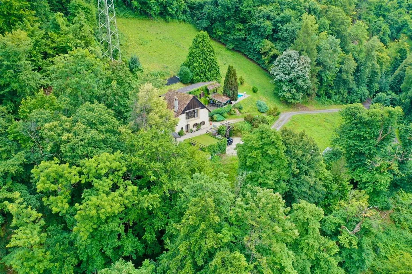 VILLA COUP DE COUR CON VISTA LAGO MAGNIFICA - VIAGER OCCUPATO SENZA RENDITA A DURATA FISSA - Foto 2 di 10