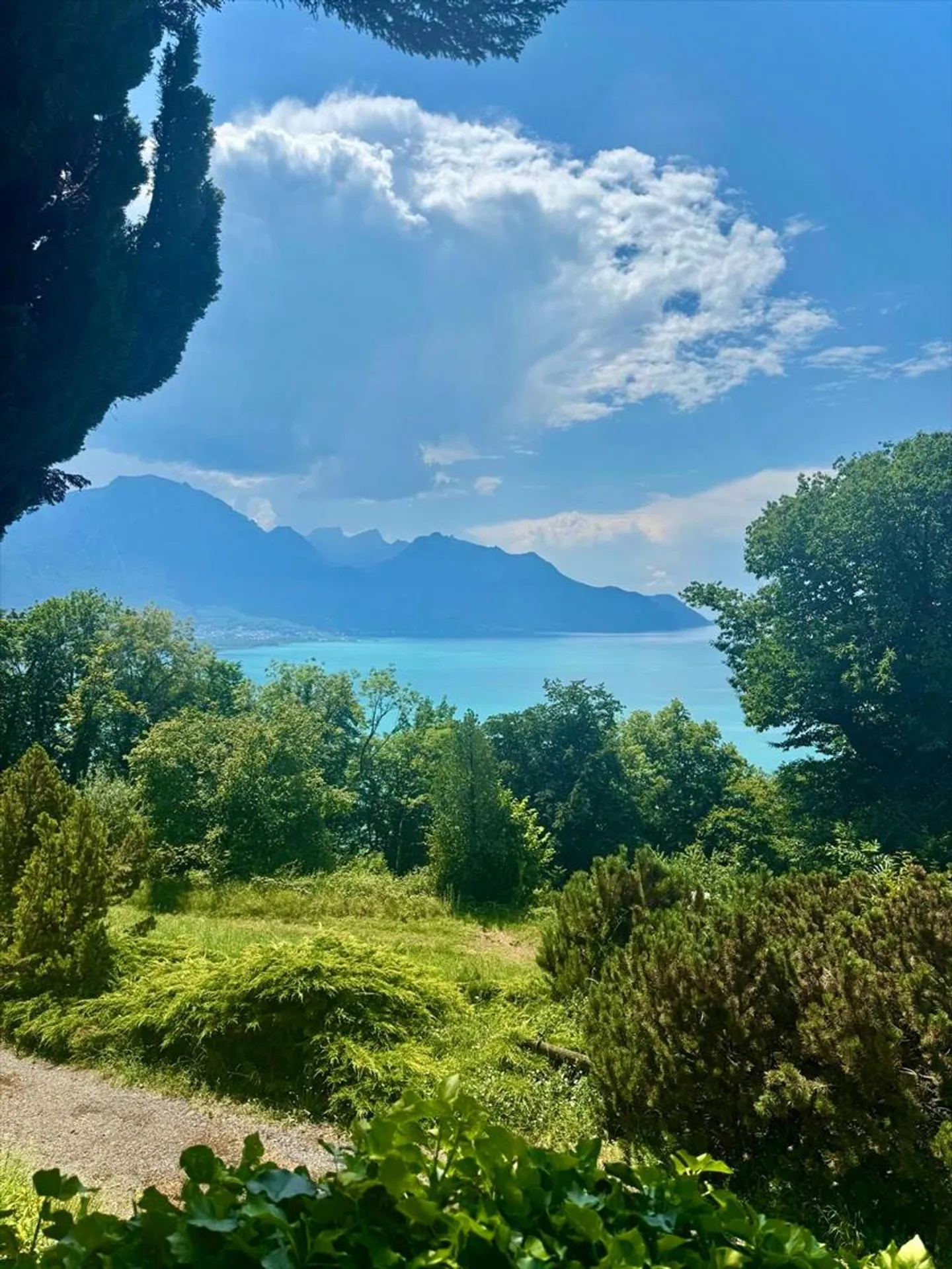 VILLA COUP DE COUR CON VISTA LAGO MAGNIFICA - VIAGER OCCUPATO SENZA RENDITA A DURATA FISSA - Foto 4 di 10
