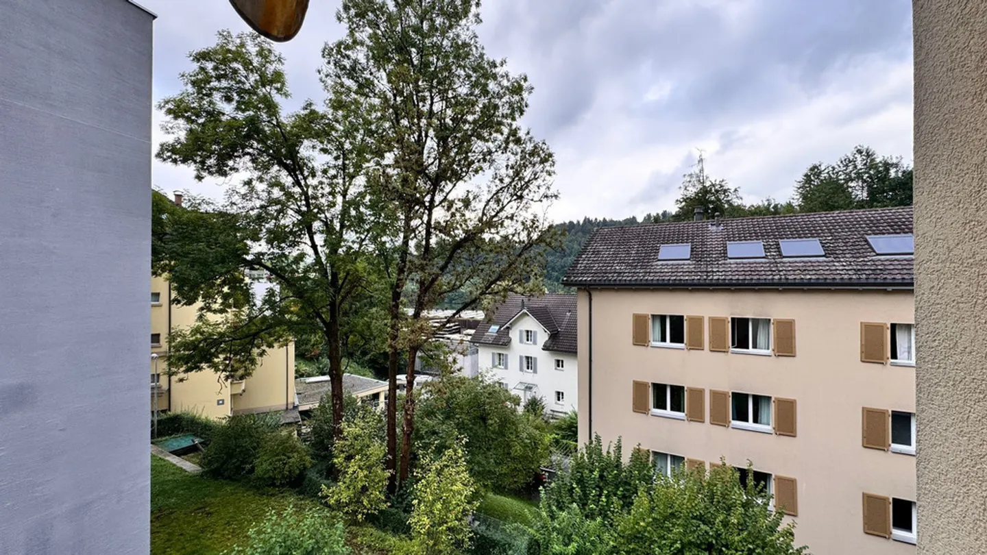 Central City Apartment in Maihof Quarter - Photo 10 of 10