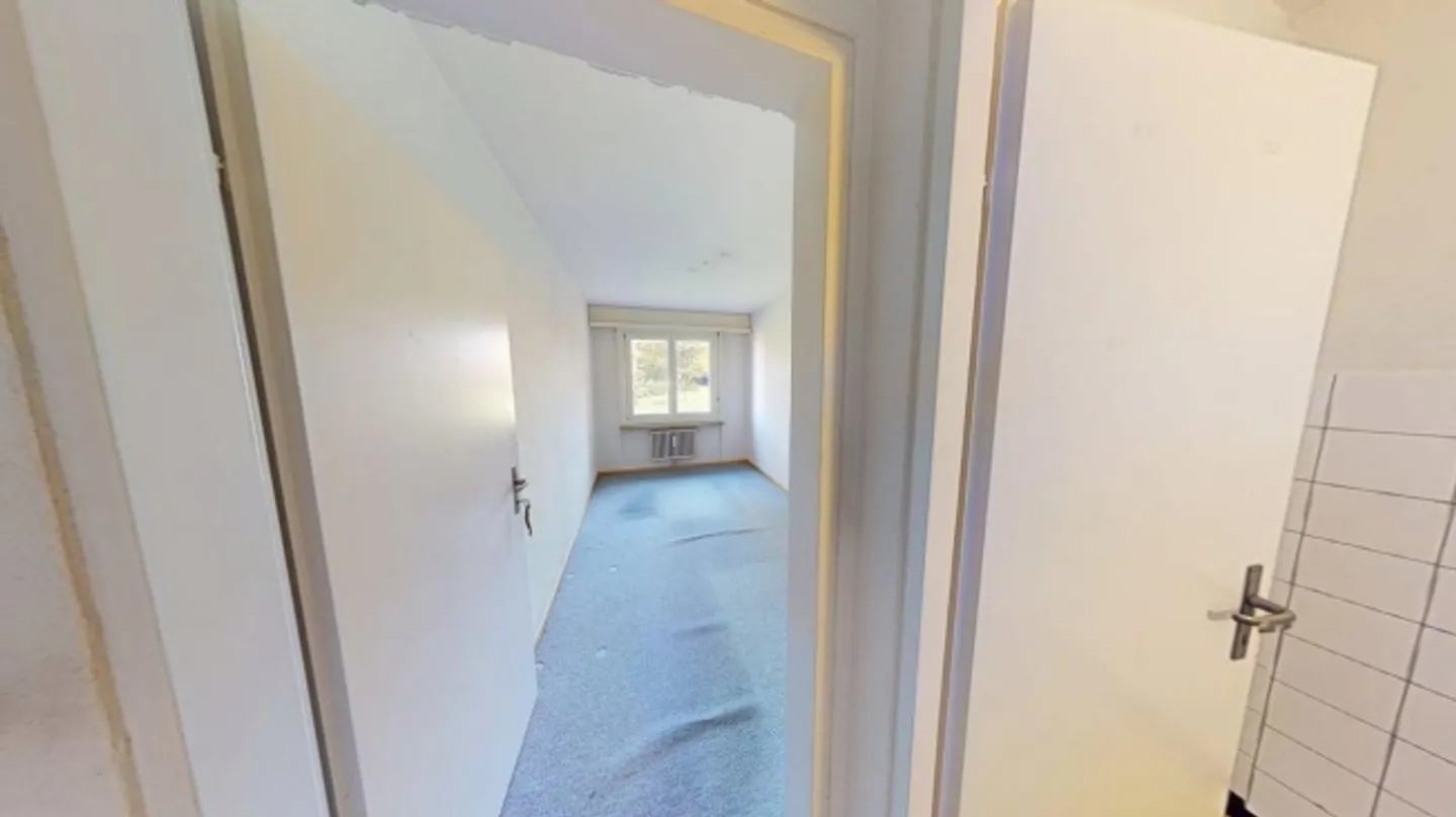 Spacious 4-Room Apartment Near Basel City - Photo 6 of 10