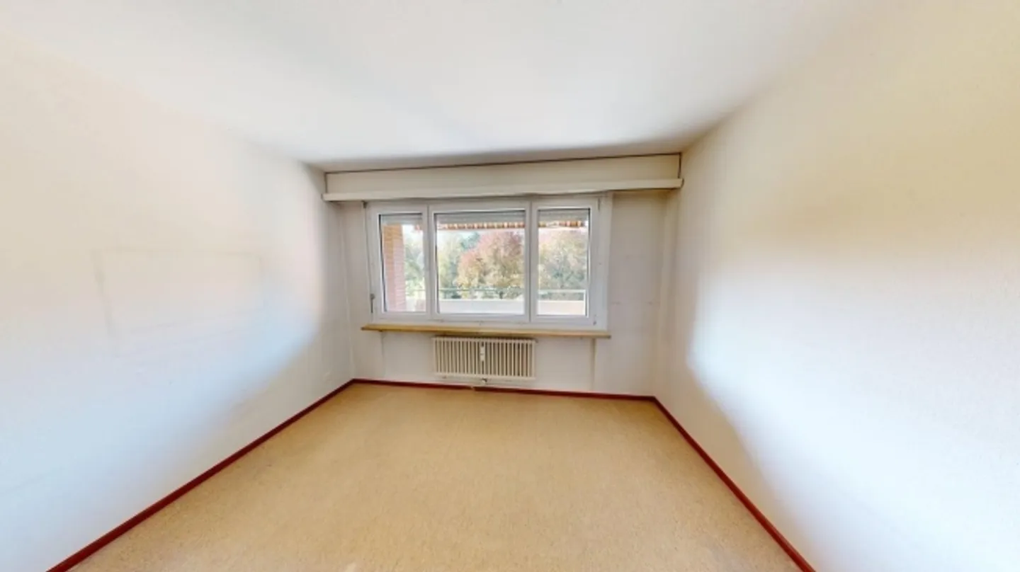 Spacious 4-Room Apartment Near Basel City - Photo 8 of 10