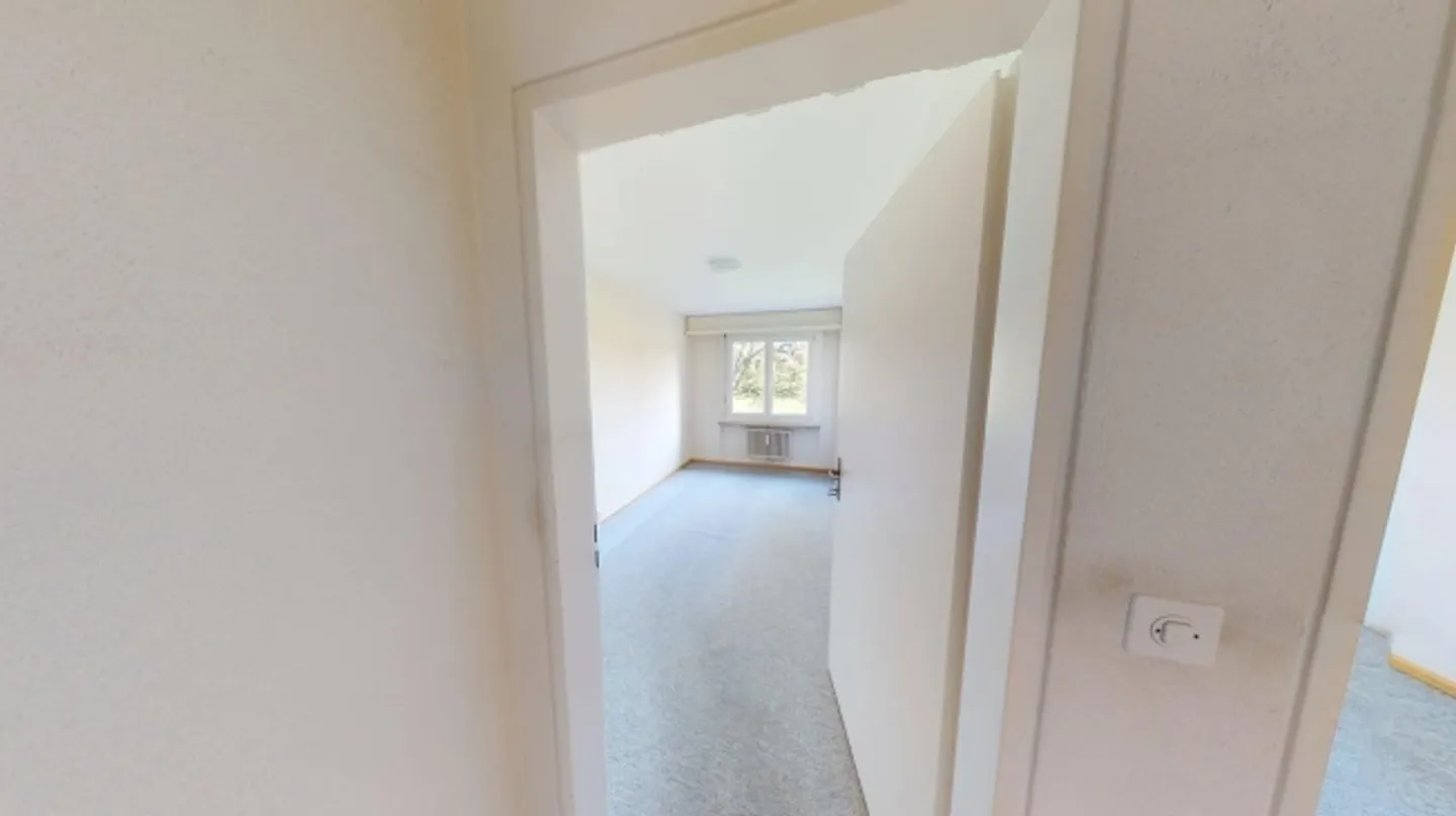 Spacious 4-Room Apartment Near Basel City - Photo 7 of 10