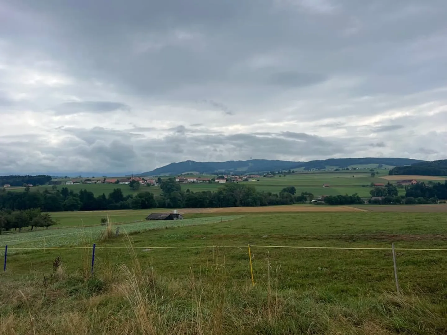 Neue 5,5-Zimmer-Villen in Villorsonnens - Ruhe & Natur - Foto 8 von 8