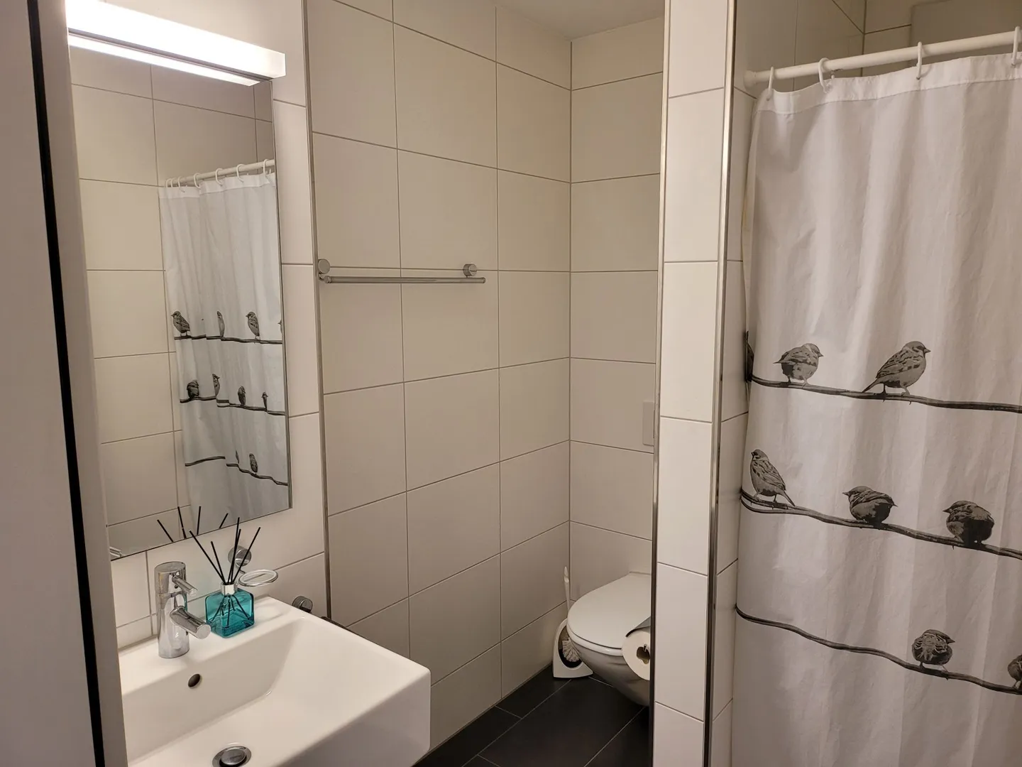 Appartement moderne de 4,5 pièces au rez-de-chaussée dans le centre du village - Photo 5 sur 9
