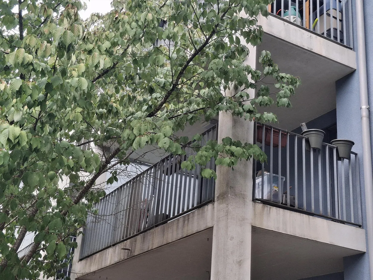 Bright 3.5-room apartment with 2 balconies and large living room - Photo 15 of 16