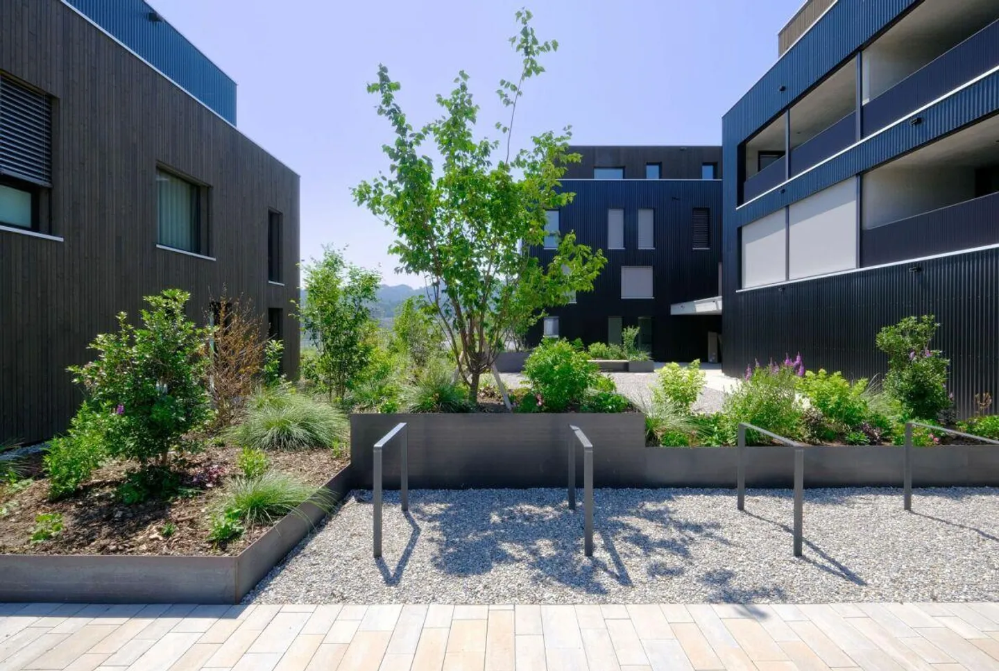 Living with a view of the vineyards of Berneck - Emseren Development, Au - Photo 2 of 13