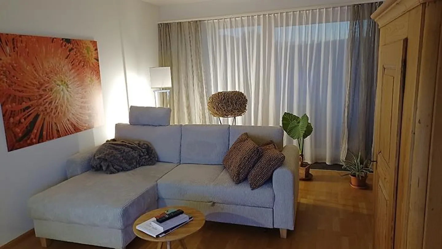 APPARTAMENTO 3½ STANZE A REINACH (BL), ARREDATO, TEMPORANEO - Foto 1 di 5