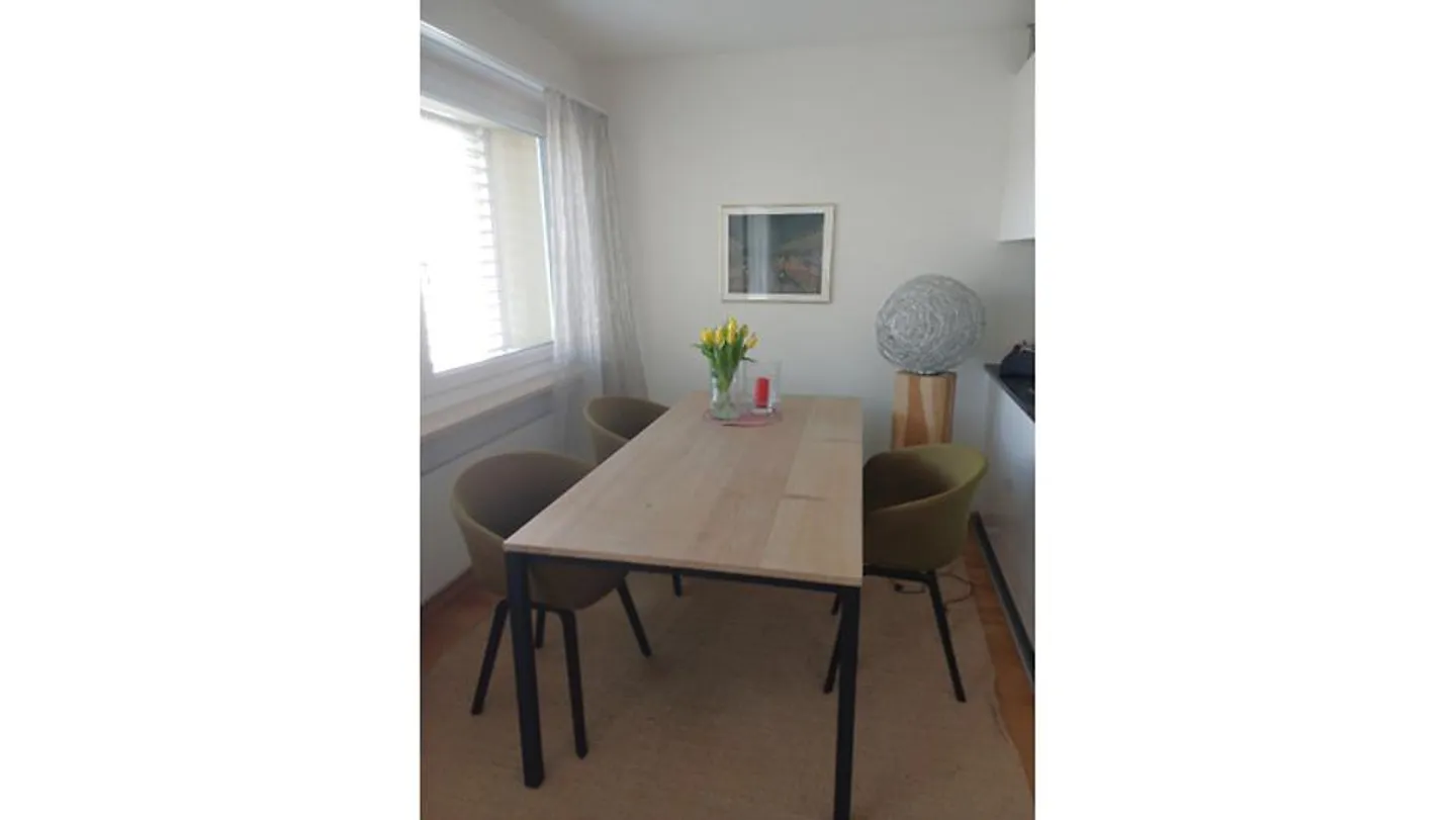 APPARTAMENTO 3½ STANZE A REINACH (BL), ARREDATO, TEMPORANEO - Foto 4 di 5