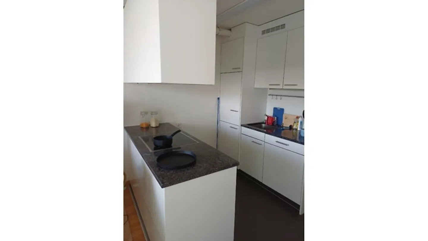 APPARTAMENTO 3½ STANZE A REINACH (BL), ARREDATO, TEMPORANEO - Foto 5 di 5