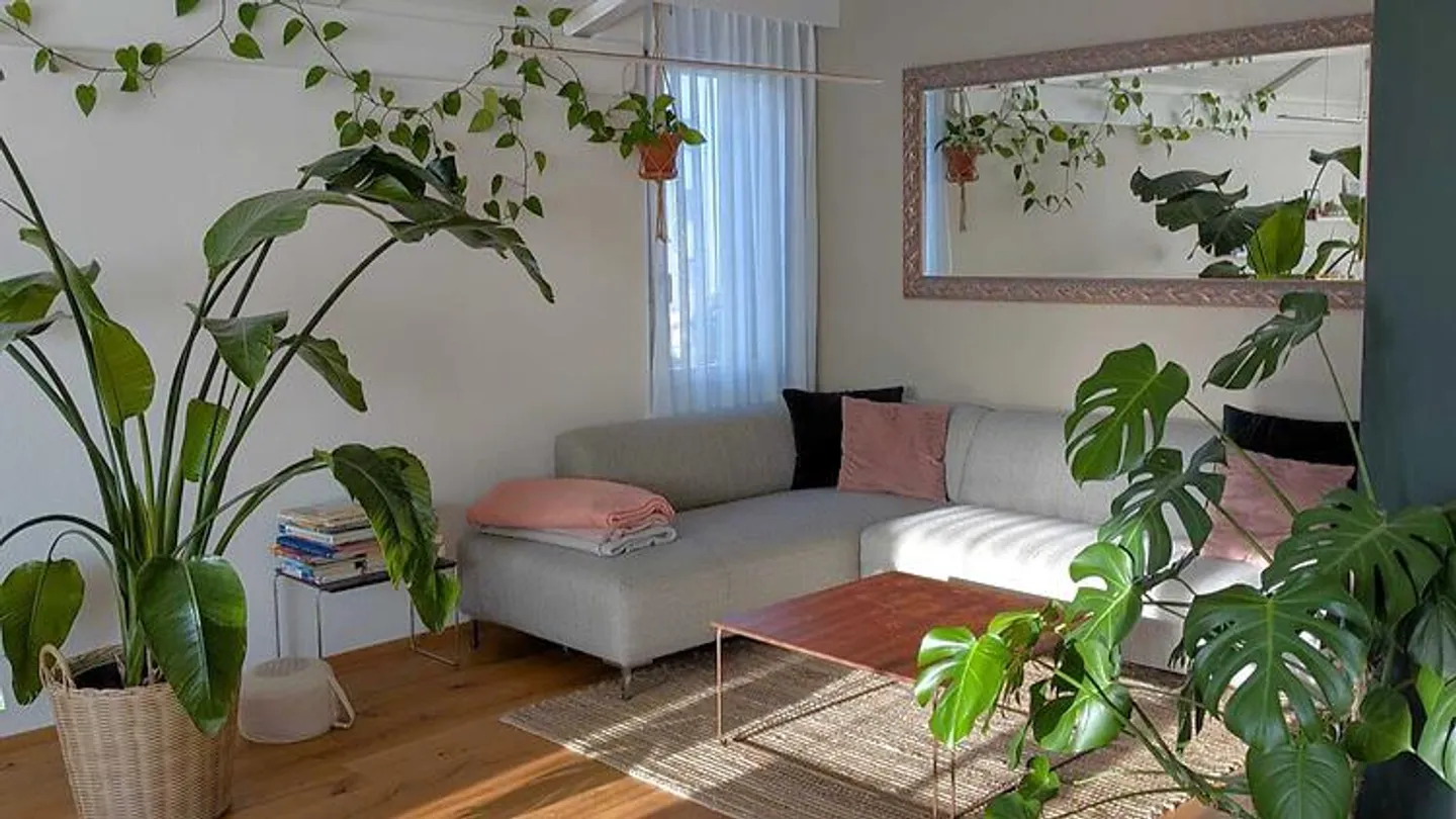 APPARTAMENTO MAISONETTE 5½ STANZE A RUSWIL (LU), ARREDATO, TEMPORANEO - Foto 1 di 10