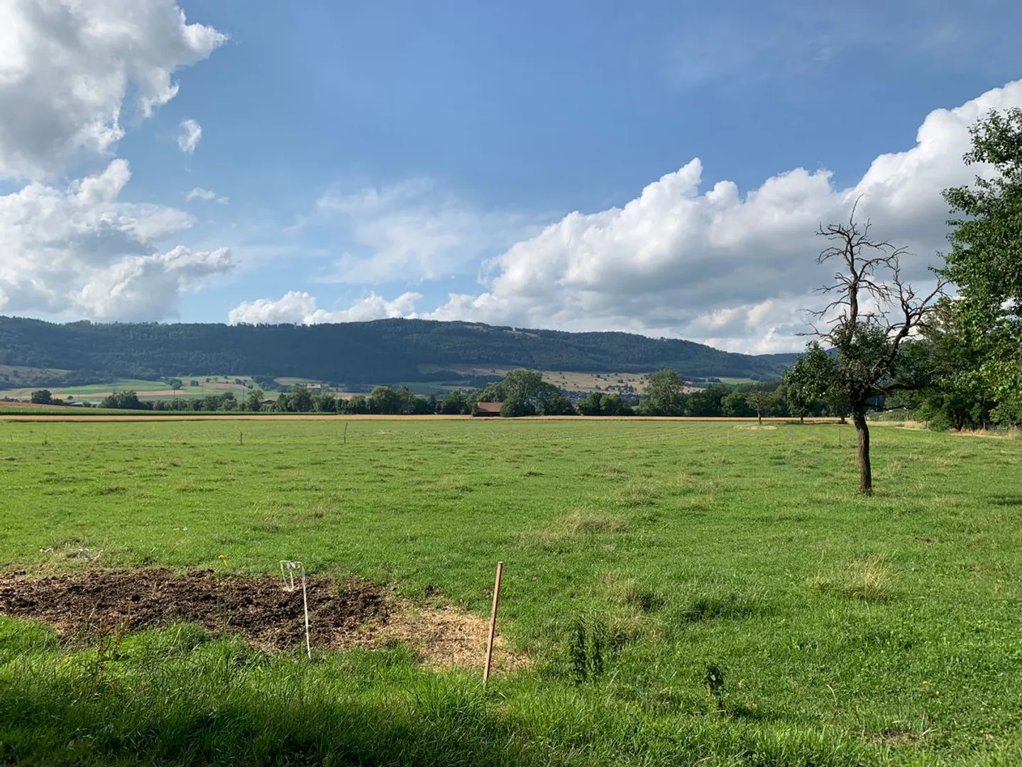 Baugrundstück - Foto 2 von 5