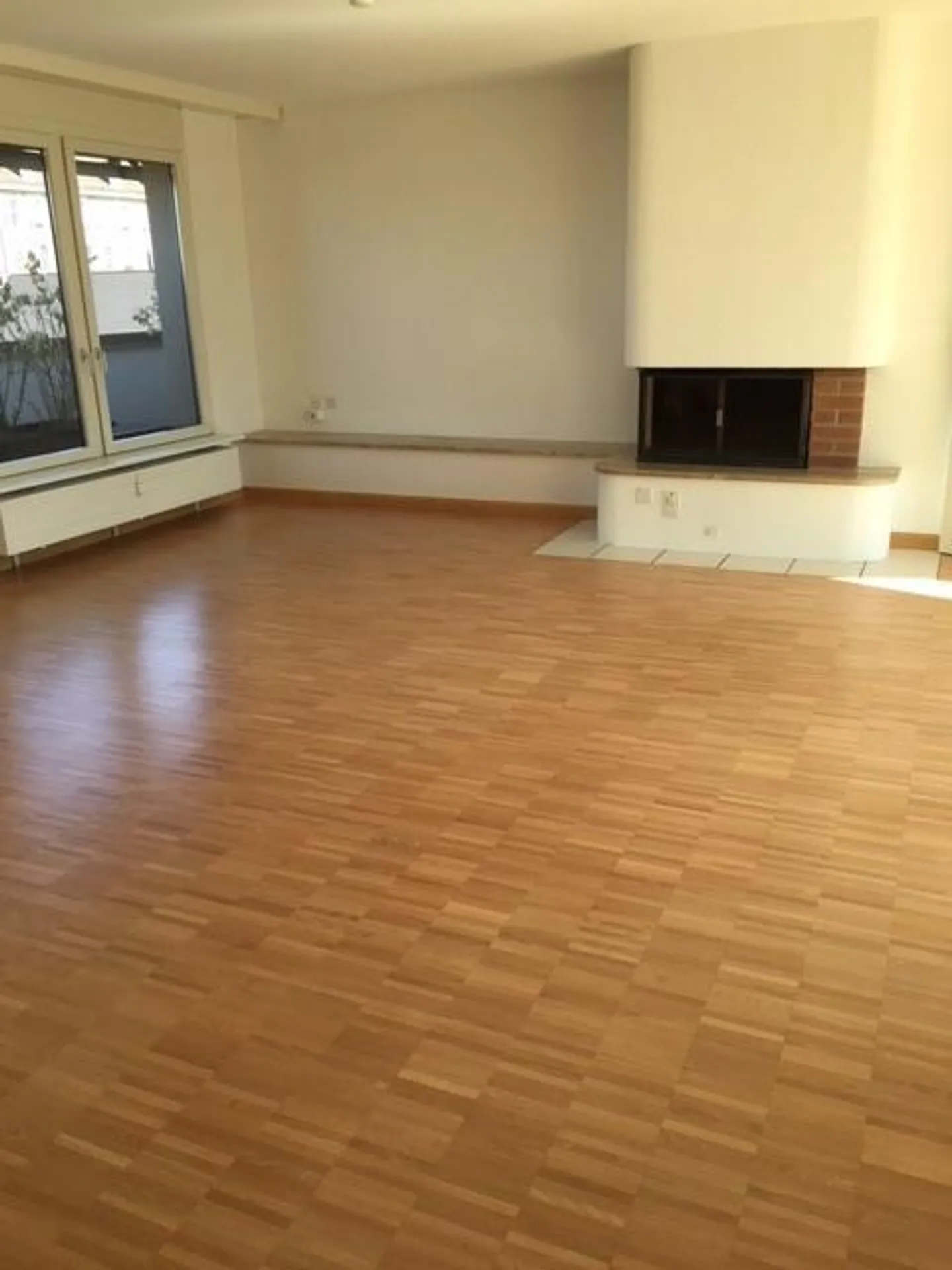 4.5 Room Penthouse Apartment in the Center of Basel - Photo 2 of 11