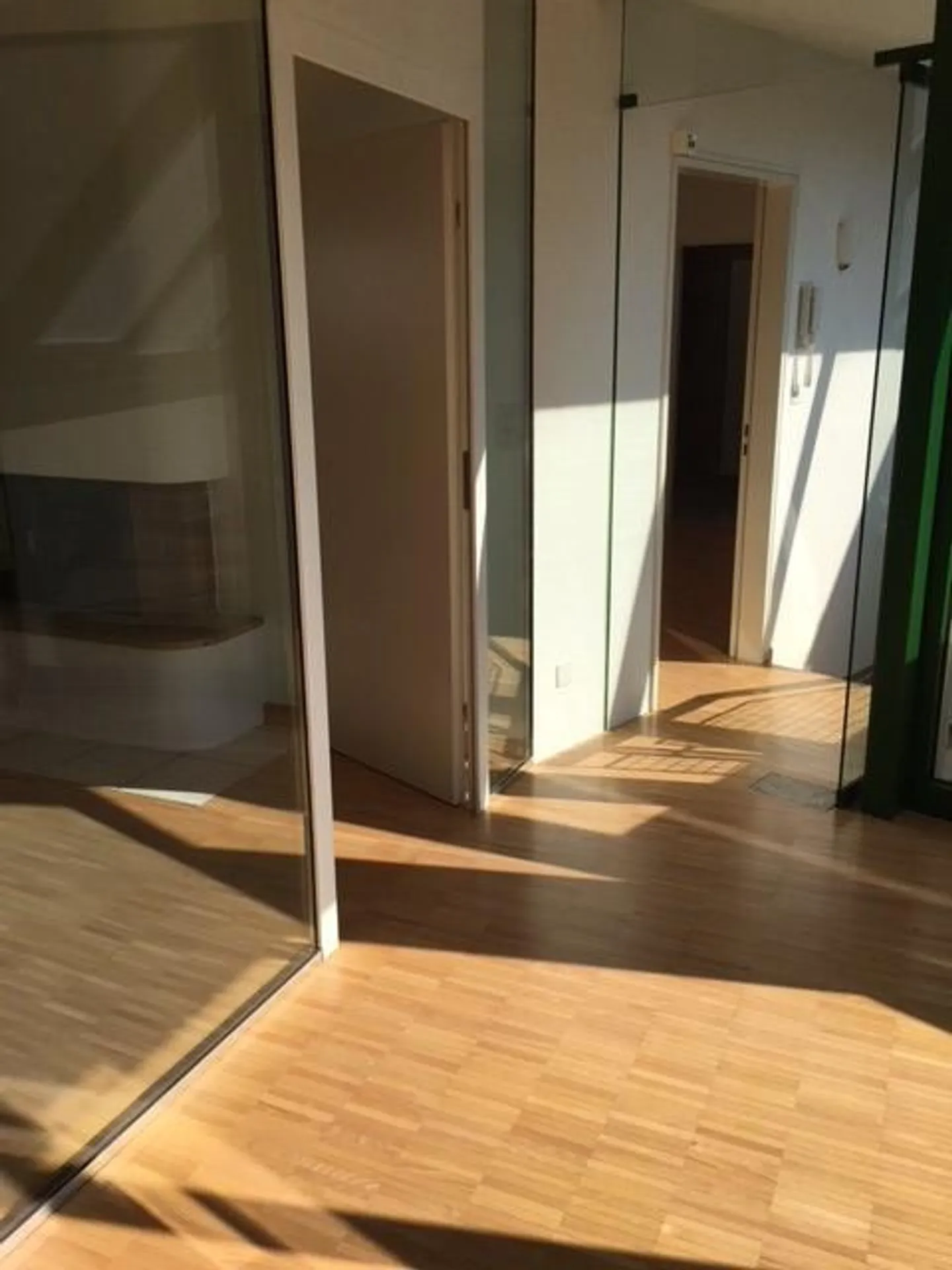 4.5 Room Penthouse Apartment in the Center of Basel - Photo 8 of 11