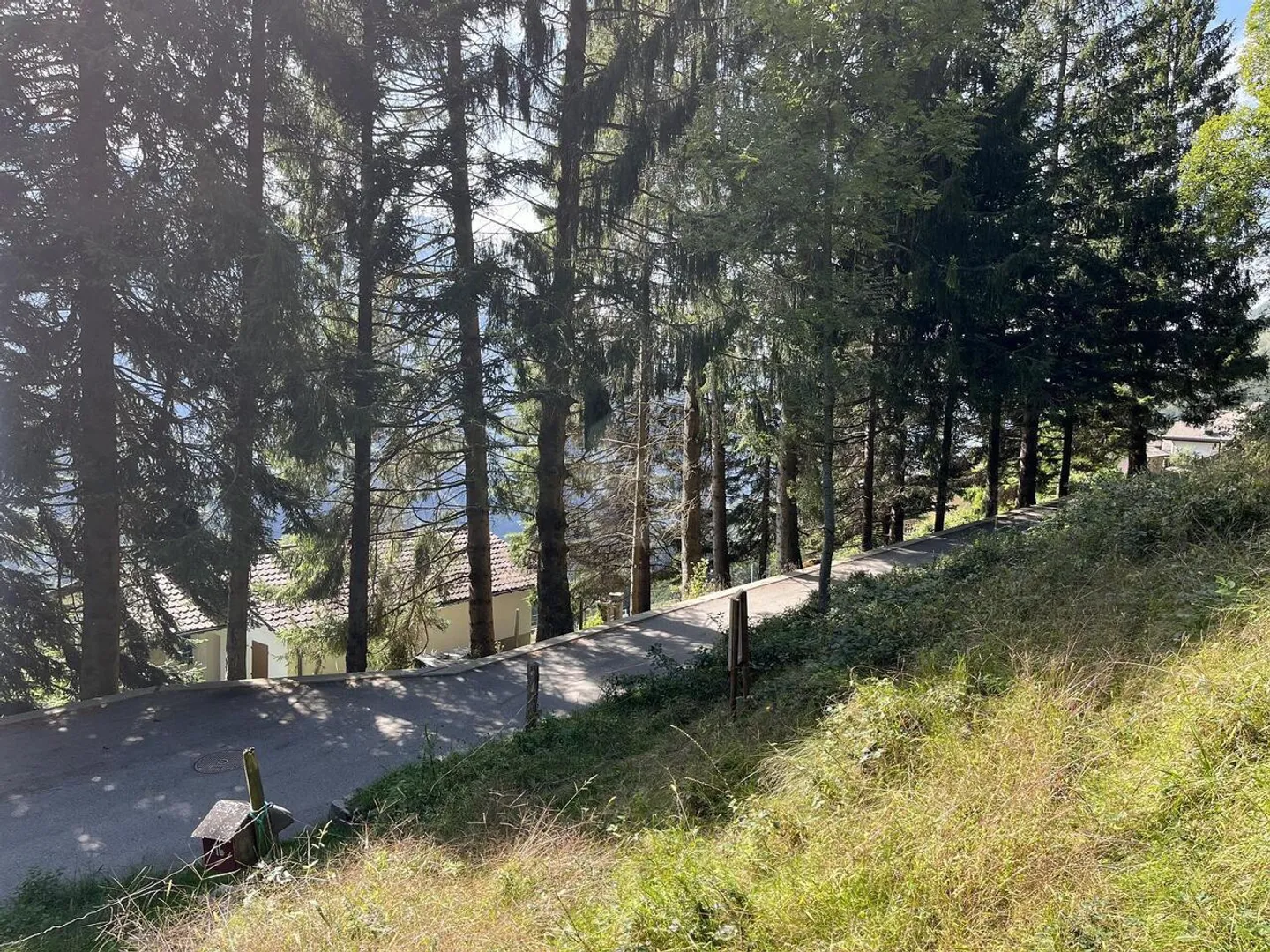 SPLENDIDA PROPRIETÀ NELLA SOLEGGIATA VALLE - Foto 2 di 6