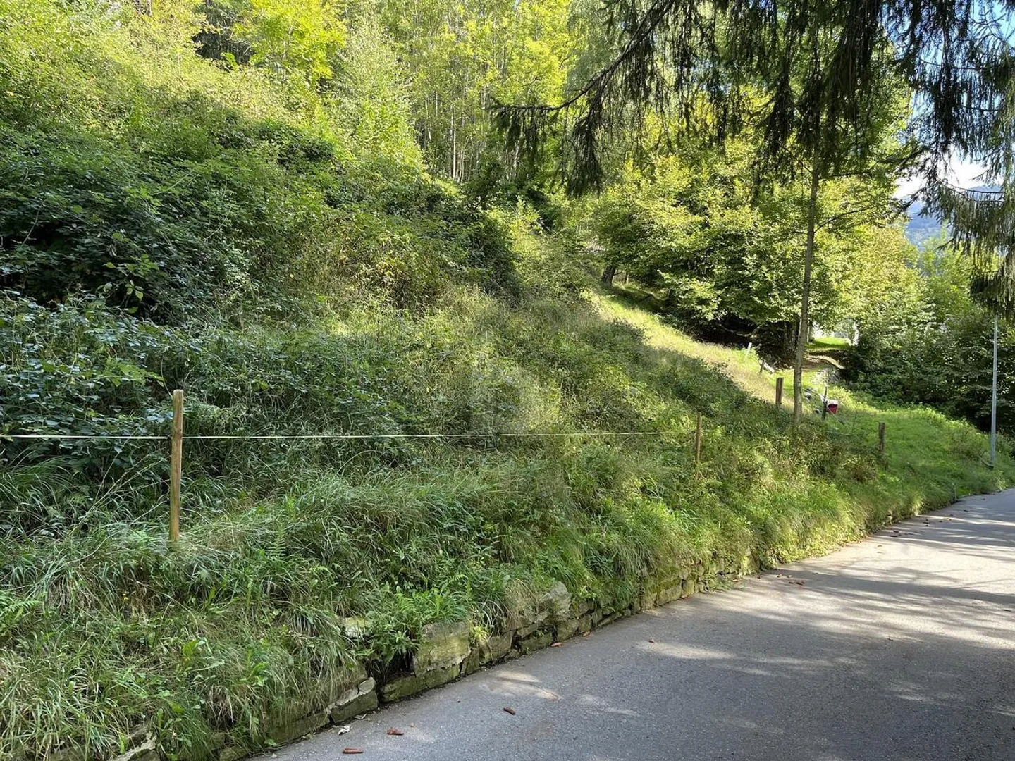 SPLENDIDA PROPRIETÀ NELLA SOLEGGIATA VALLE - Foto 4 di 6