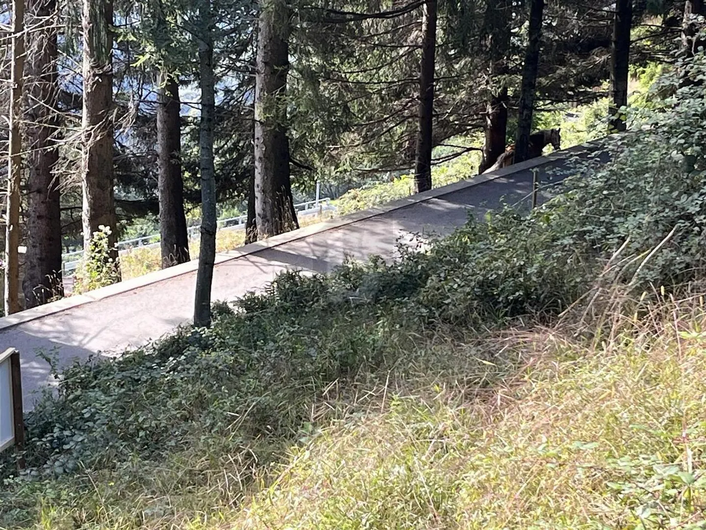 SPLENDIDA PROPRIETÀ NELLA SOLEGGIATA VALLE - Foto 5 di 6