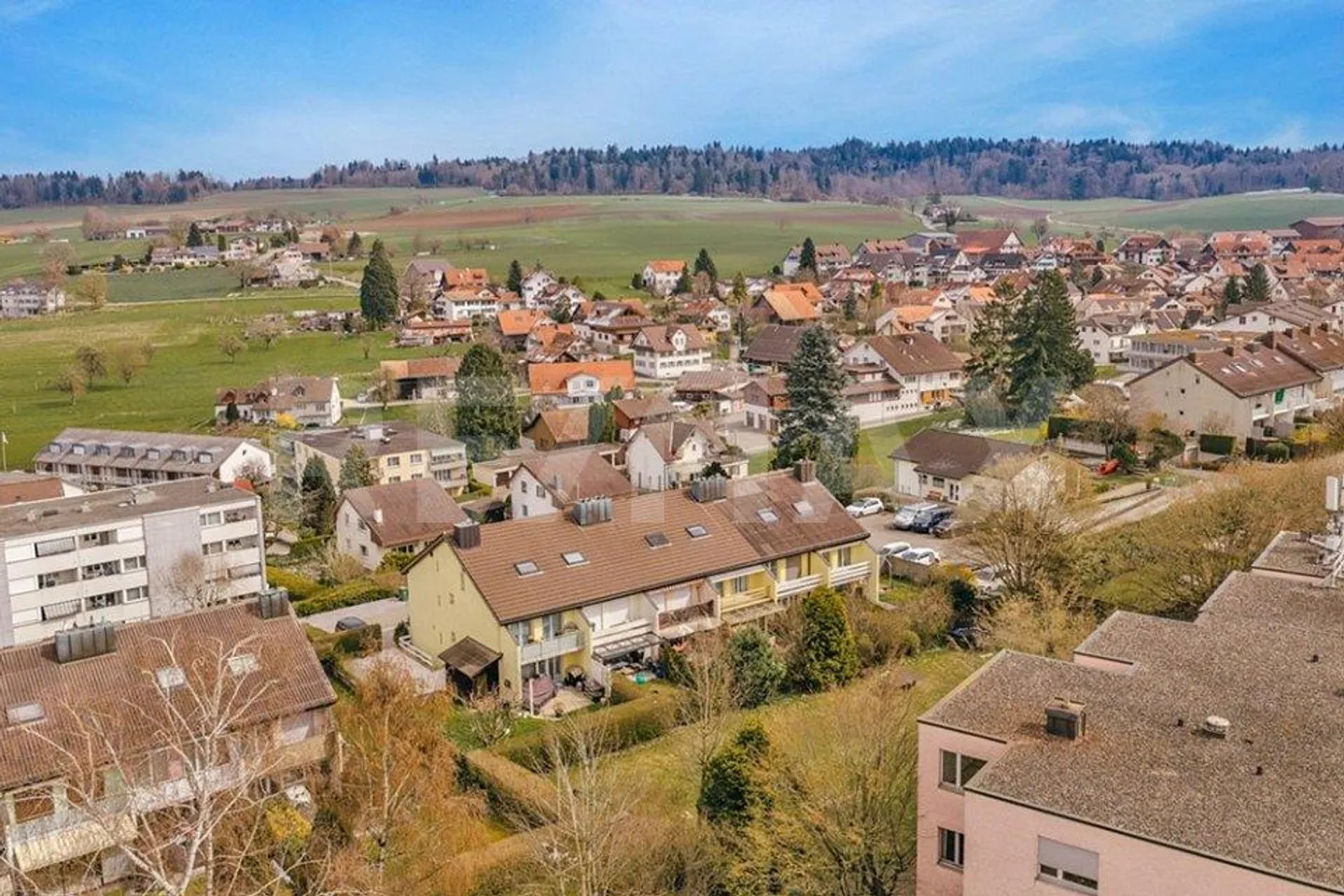 Thank you Vreni for Stalden - Photo 2 of 11