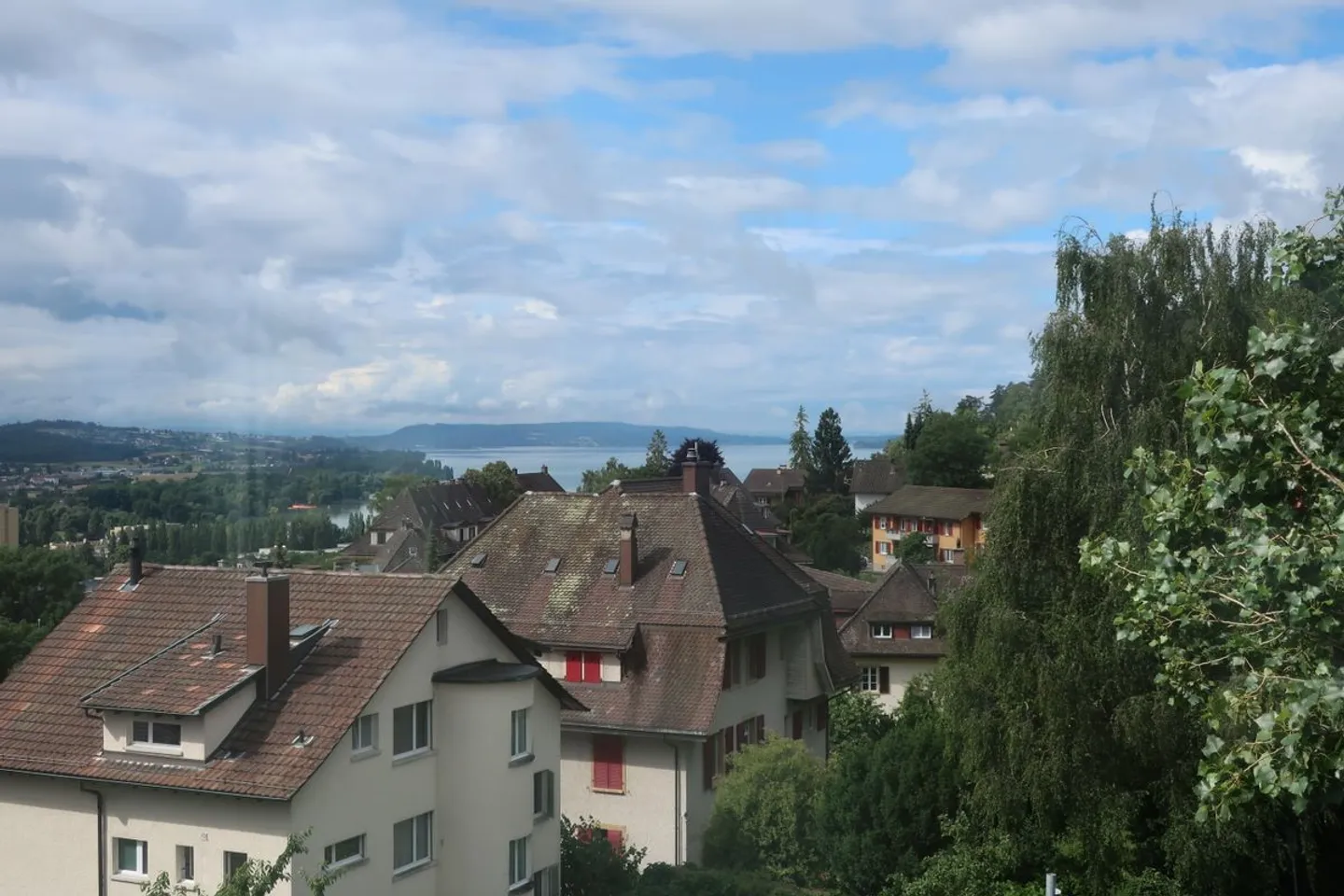 Magnifico appartamento 2.5 stanze completamente ristrutturato - ambiente moderno con vista - Foto 2 di 10