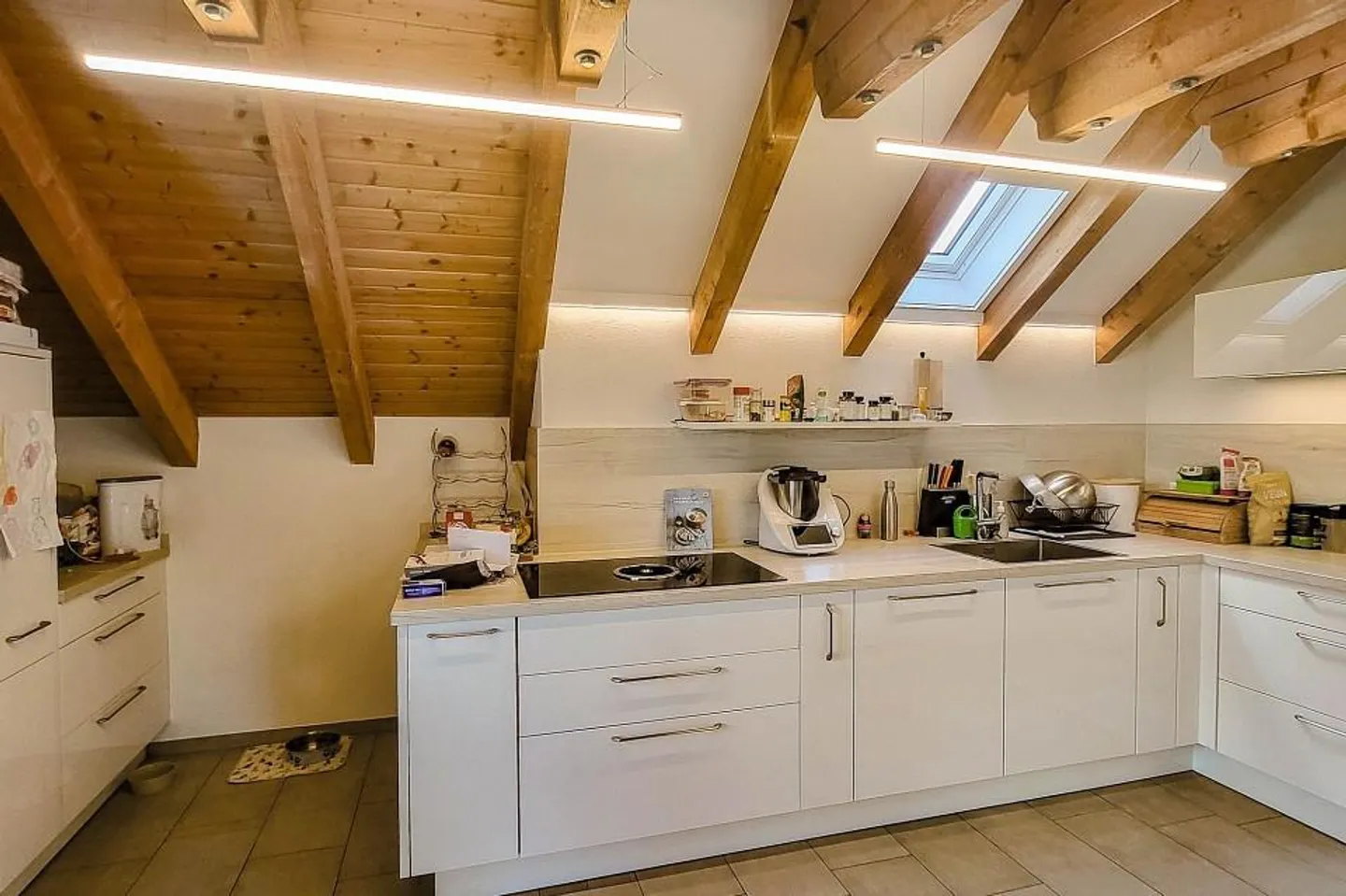 Kaisten-Warthof - vivere dove volpe e lepre si dicono buonanotte.. - Foto 4 di 13