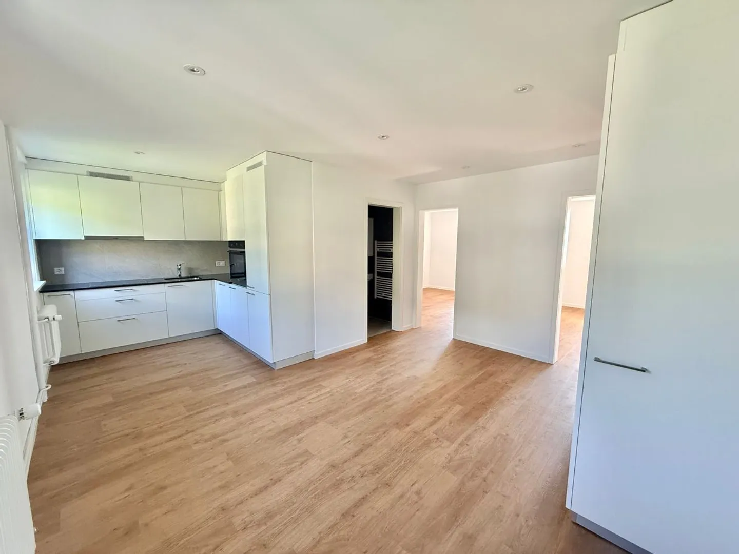 Magnifico appartamento 2.5 stanze completamente ristrutturato - ambiente moderno con vista - Foto 4 di 10