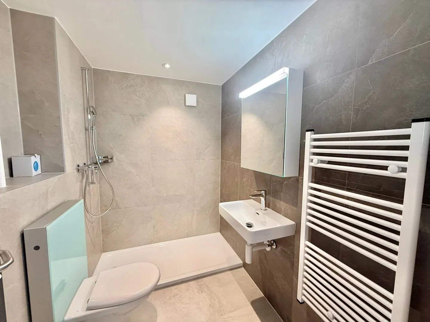 Magnifico appartamento 2.5 stanze completamente ristrutturato - ambiente moderno con vista - Foto 9 di 10