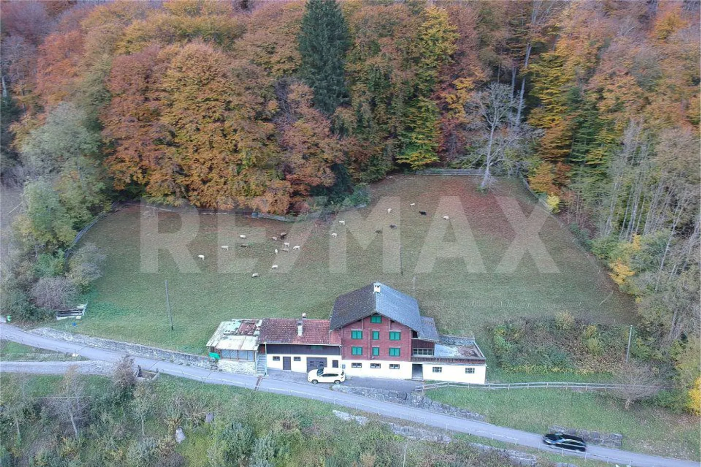 Terreno edificabile e terreno agricolo con casa unifamiliare con appartamento e annessi - Foto 1 di 10