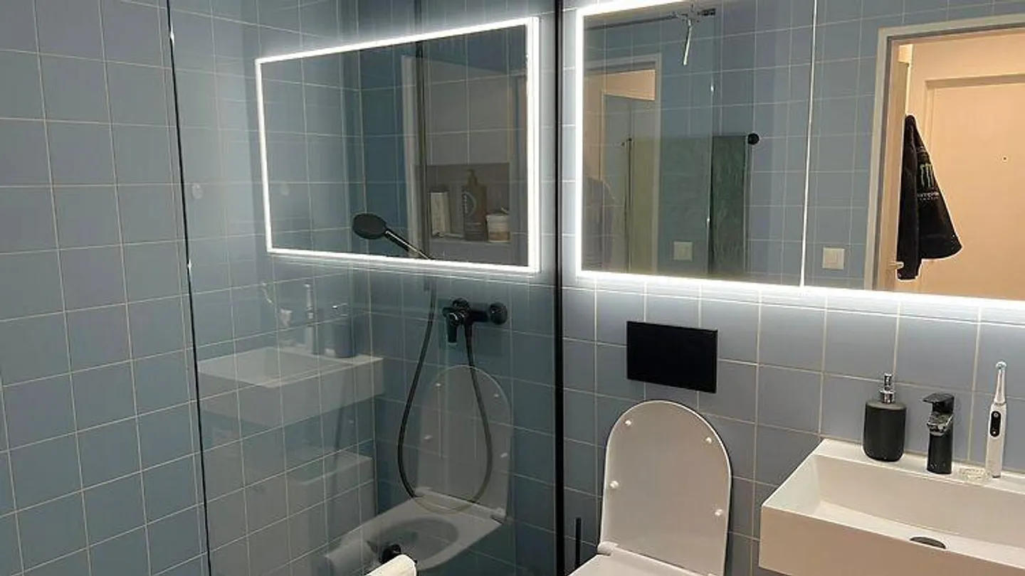 3½ ROOM APARTMENT IN BERN - BREITENRAIN, FURNISHED, TEMPORARY - Photo 4 of 6