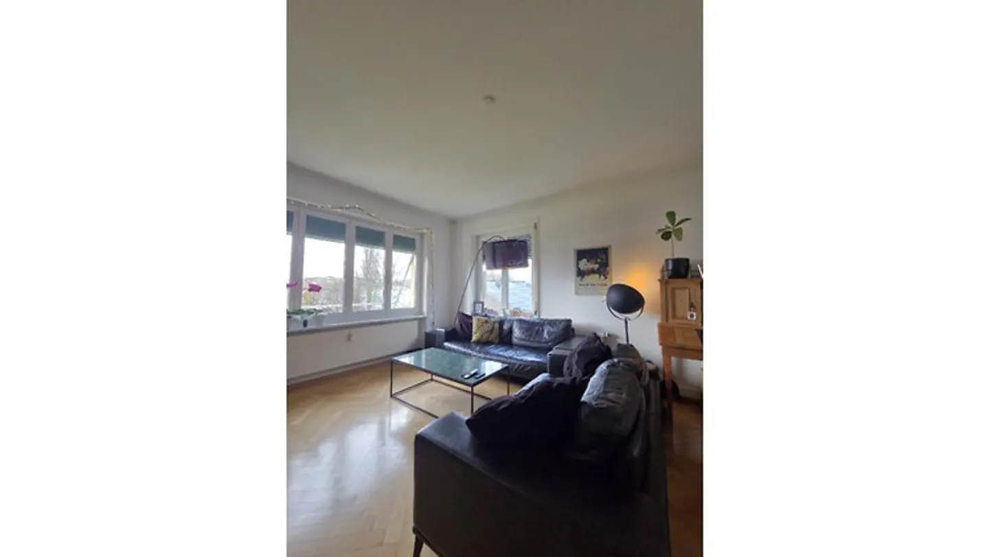 3½ ROOM APARTMENT IN MURTEN (FR), FURNISHED, TEMPORARY - Photo 3 of 7