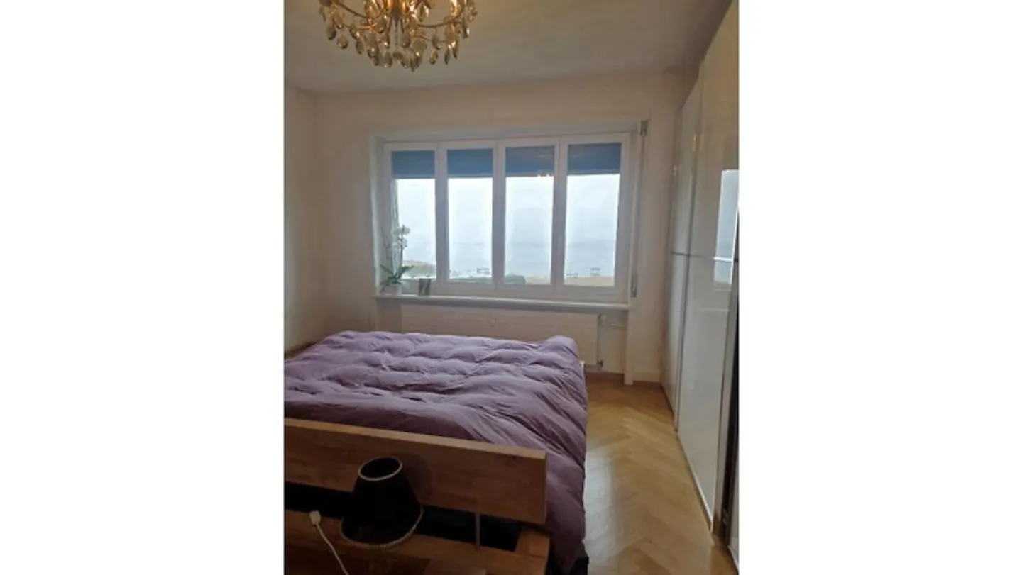 3½ ROOM APARTMENT IN MURTEN (FR), FURNISHED, TEMPORARY - Photo 5 of 7