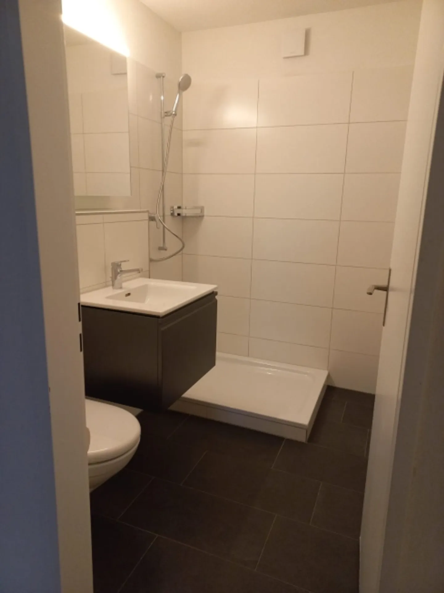 Beautiful, newly renovated apartment - Photo 4 of 11