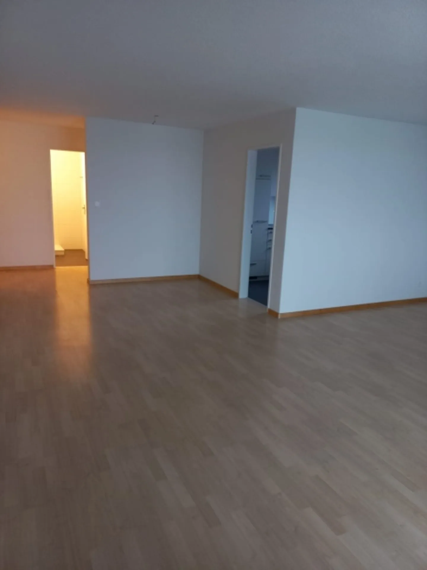 Beautiful, newly renovated apartment - Photo 7 of 11