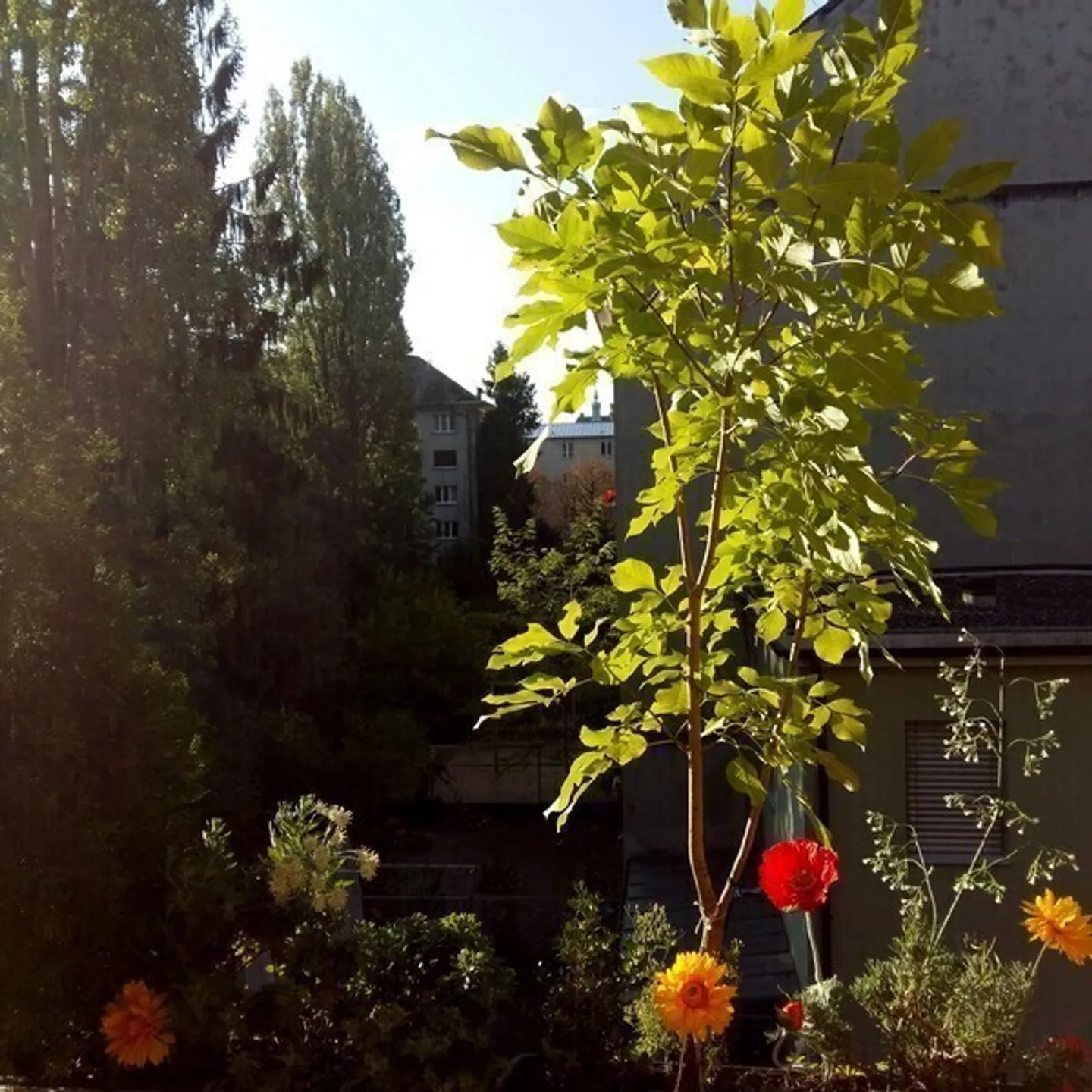 Appartamento Arredato con Balconi - Foto 8 di 10