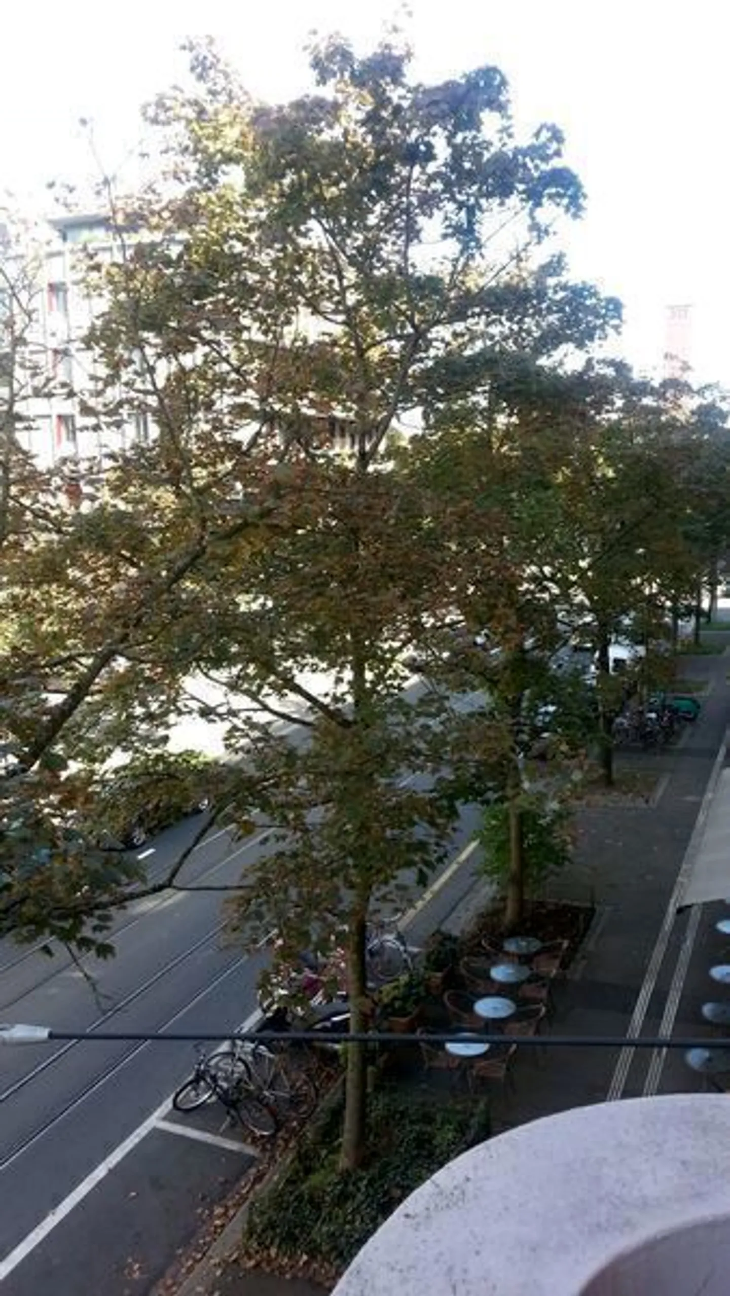 Appartamento Arredato con Balconi - Foto 9 di 10