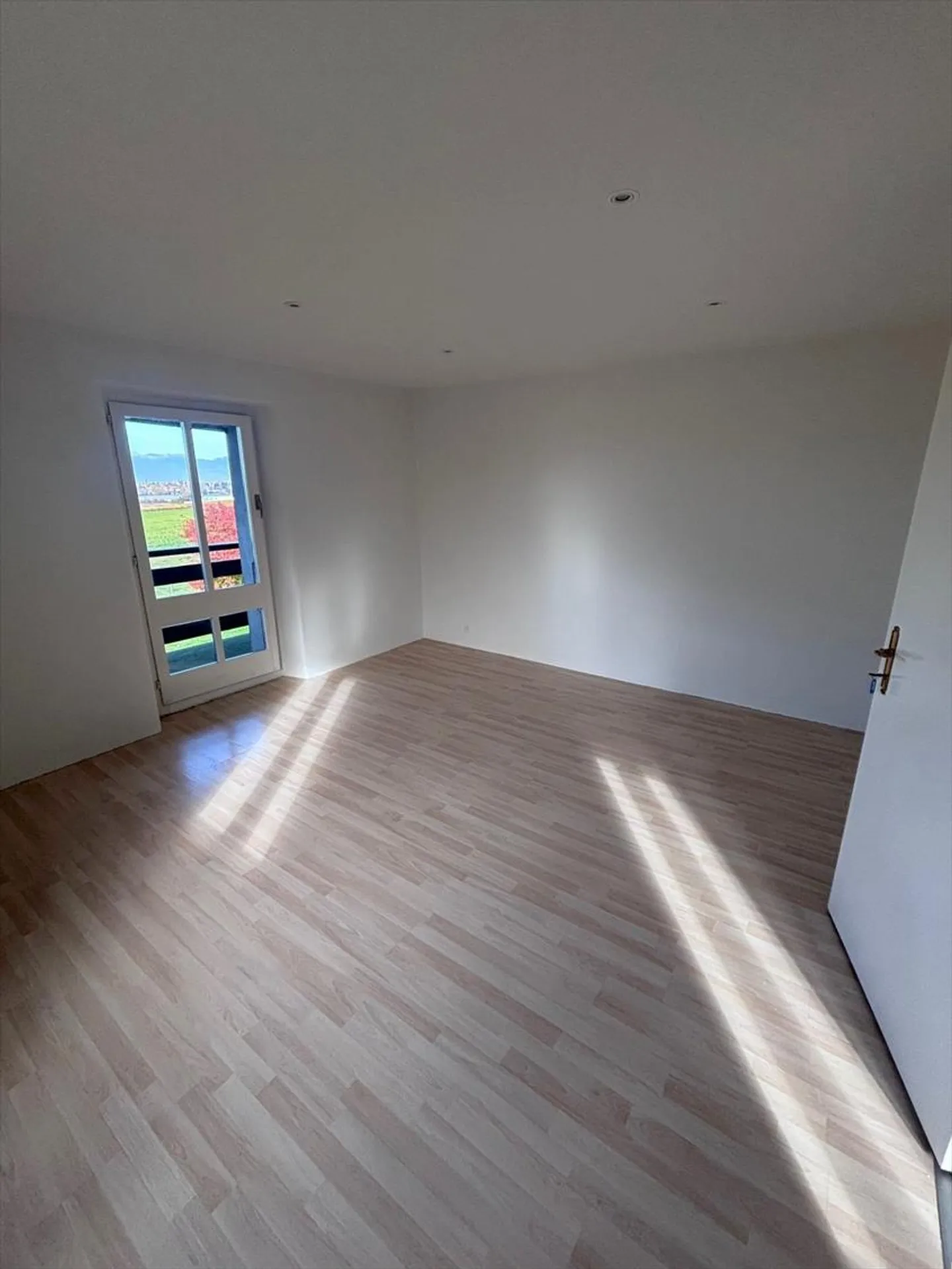 Appartement de 4,5 pièces en duplex avec jardin et terrasse à Jussy - Photo 6 sur 11