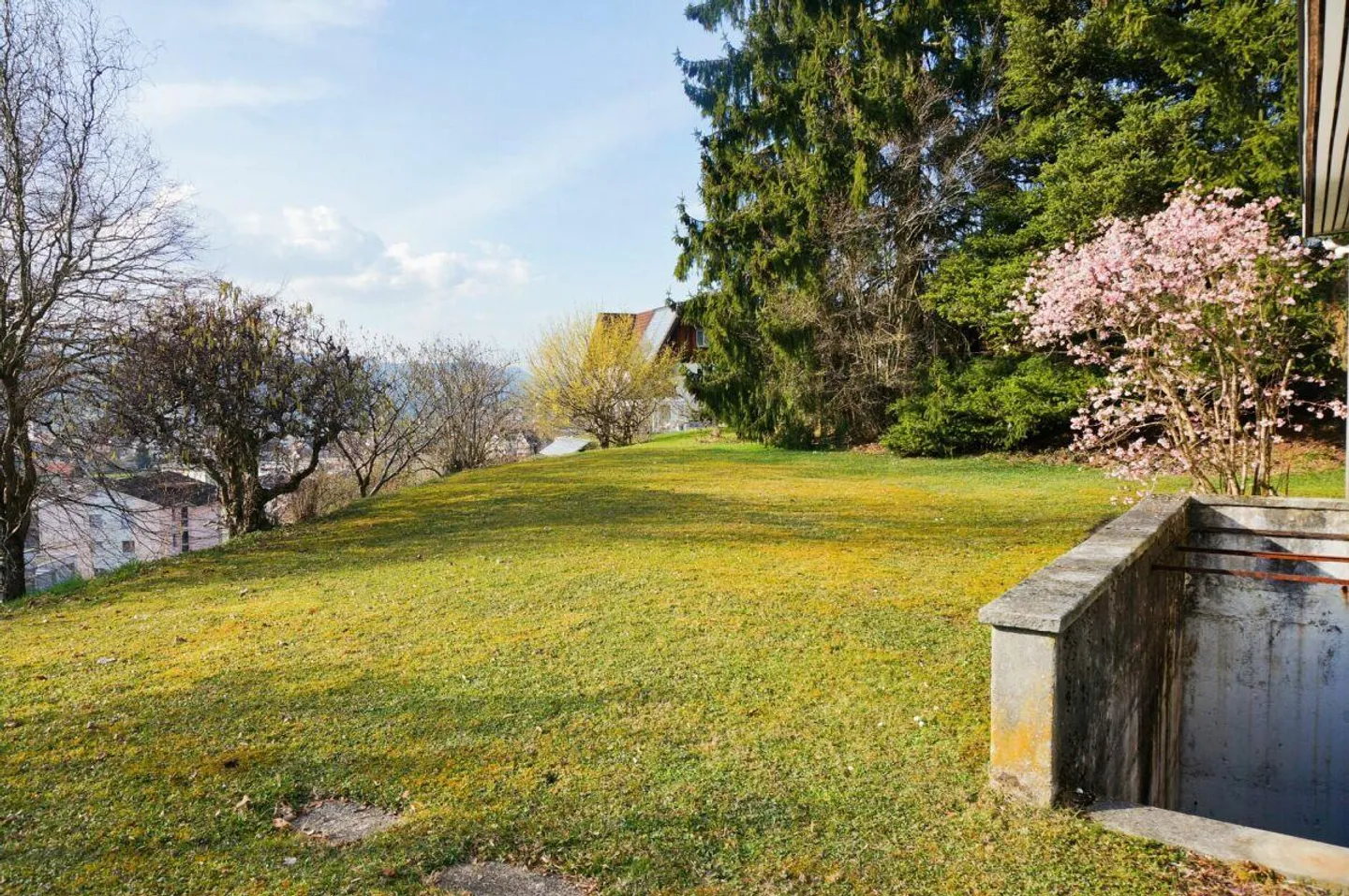 Renovation-Needed Single-Family Home with Large Garden or Building Plot with Demolition Object - Photo 9 of 27